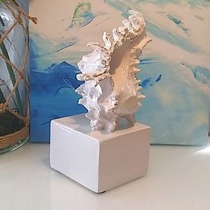 Conch shell decor, nautical, shell, decor, white